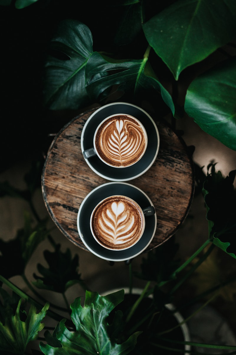 Barista Coffee Craftsmanship